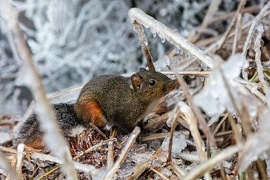 像素风魂类动作游戏《时空之剑》Steam页面开放 支持简中