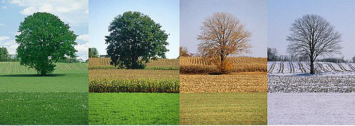 《沙加：Emerald Beyond》无DLC计划 有多结局