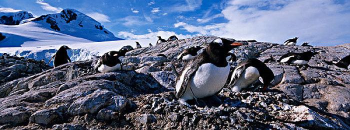 初代加强复刻版《雨中冒险回归》明年登陆PC和NS